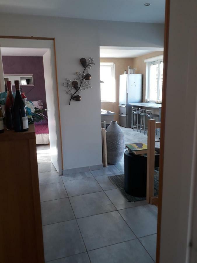 Guest House Domaine Des Grouilleres Saint-Clair-du-Rhone エクステリア 写真