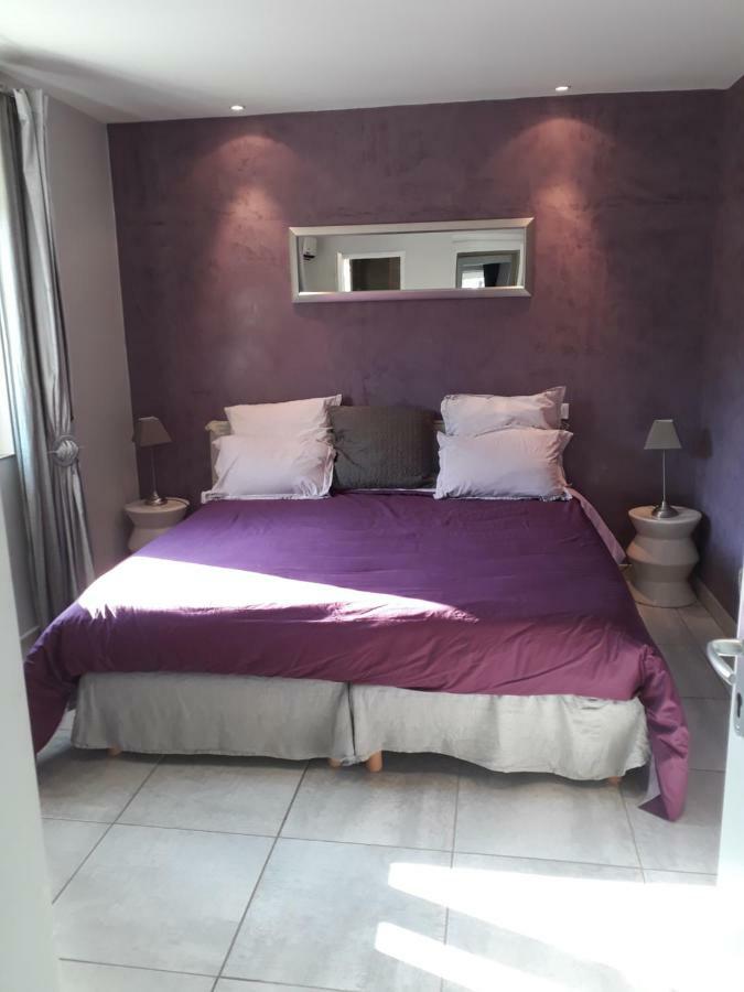 Guest House Domaine Des Grouilleres Saint-Clair-du-Rhone エクステリア 写真